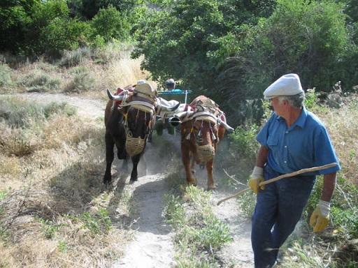 Sorry - image missing