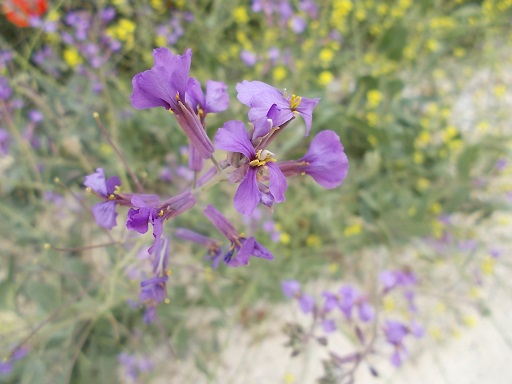 Sorry - image missing