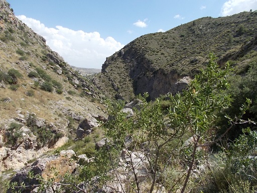 Sorry - image missing