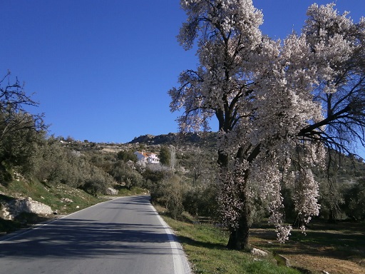 Sorry - image missing