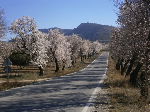 Sorry - image missing