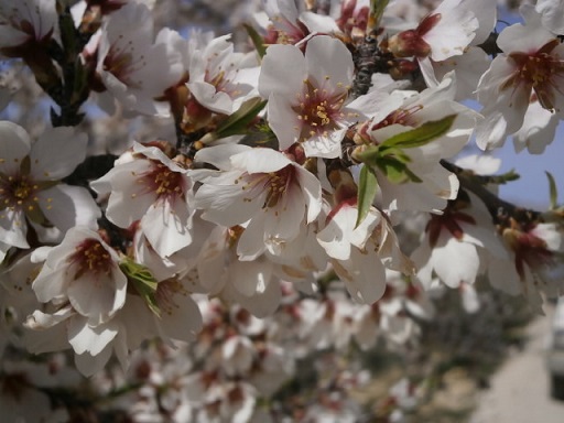 Sorry - image missing