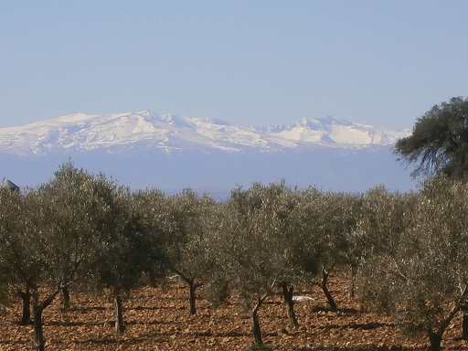 Sorry - image missing