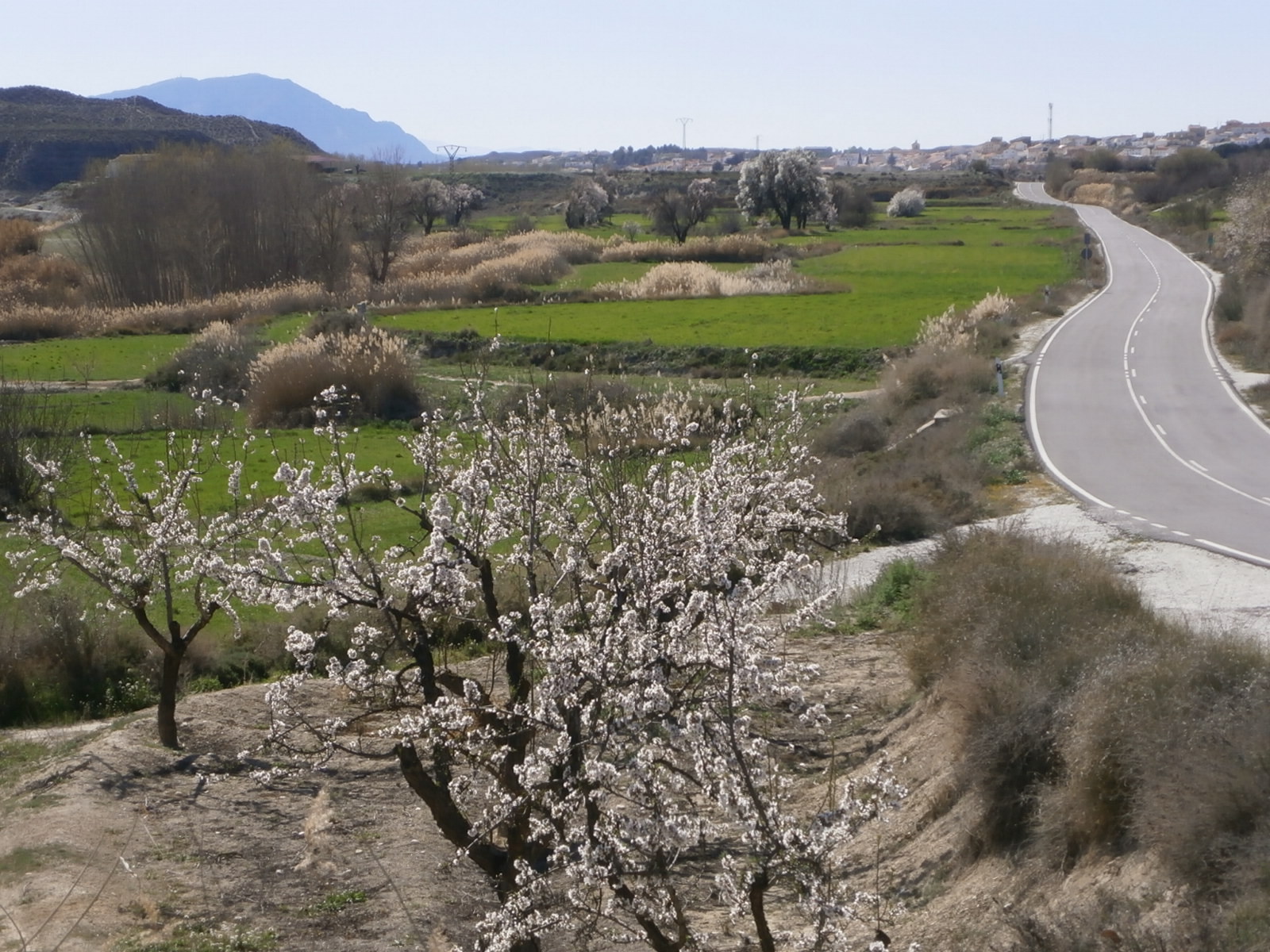 Sorry - image missing