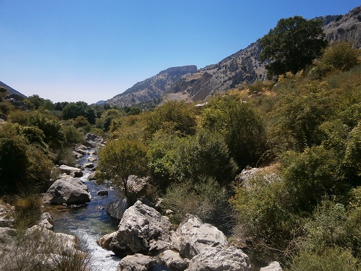 Sorry - image missing