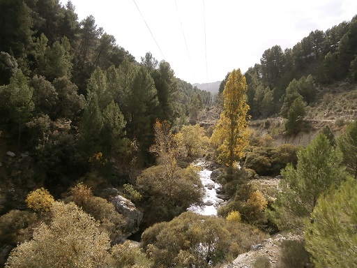 Sorry - image missing