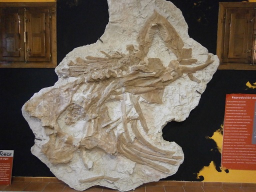 Sorry - image missing.