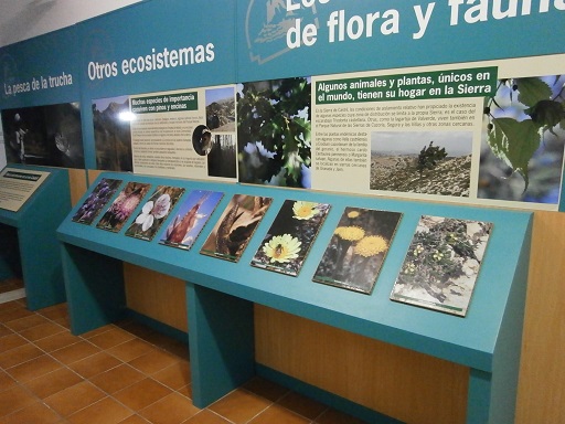 Sorry - image missing.