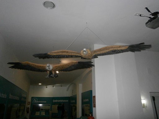 Sorry - image missing.