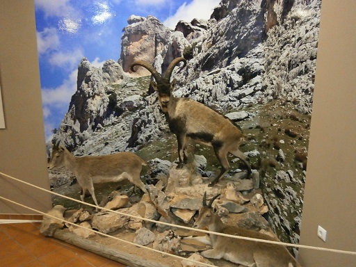 Sorry - image missing.