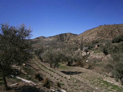 Sorry - image missing.