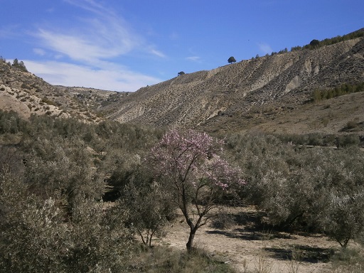 Sorry - image missing.