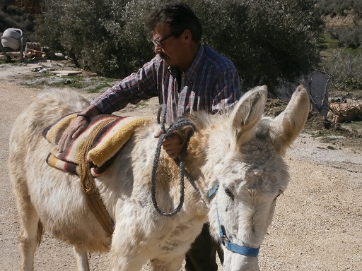 Sorry - image missing.