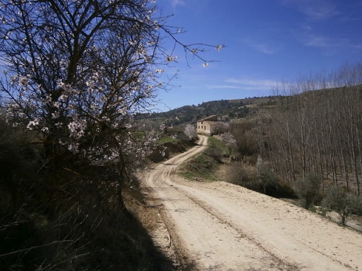 Sorry, image missing