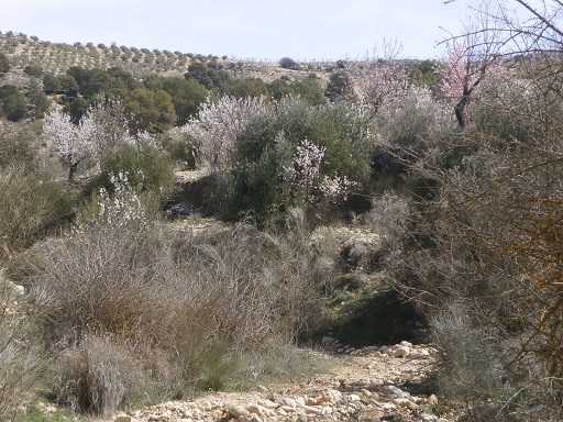 Sorry, image missing