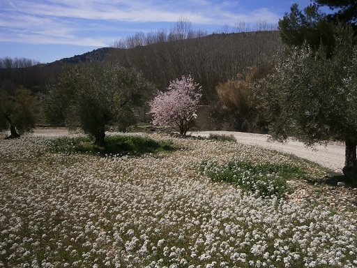 Sorry, image missing