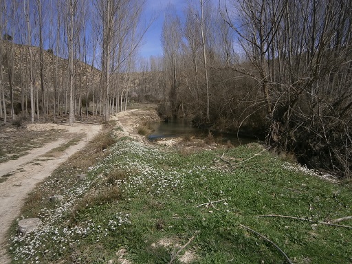 Sorry, image missing