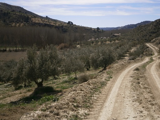 Sorry, image missing