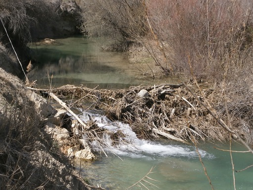 Sorry, image missing