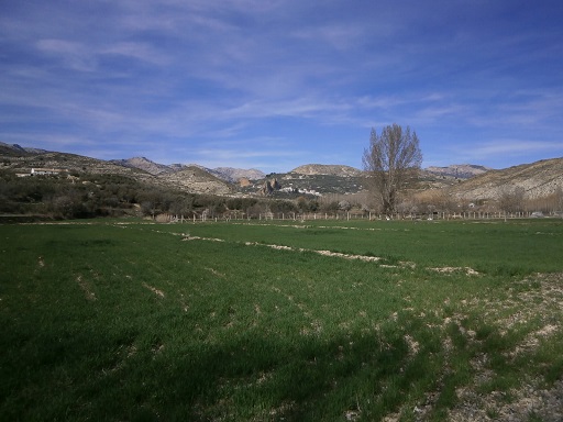 Sorry, image missing