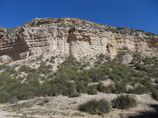 Sorry, image missing