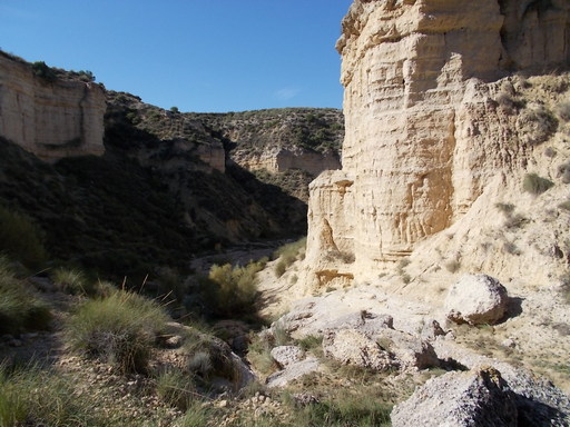 Sorry, image missing