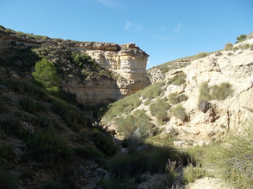 Sorry, image missing