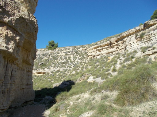 Sorry, image missing