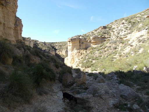 Sorry, image missing