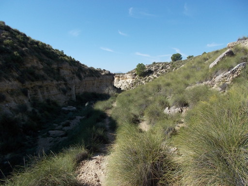 Sorry, image missing