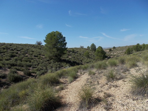 Sorry, image missing