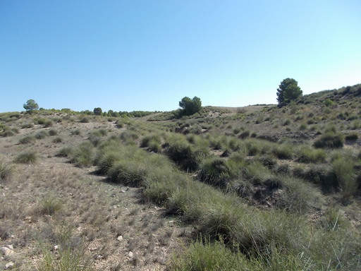 Sorry, image missing