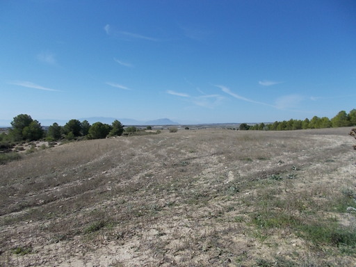 Sorry, image missing