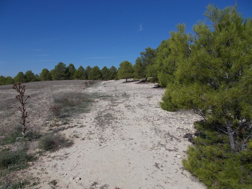 Sorry, image missing