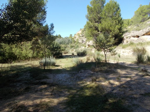 Sorry, image missing