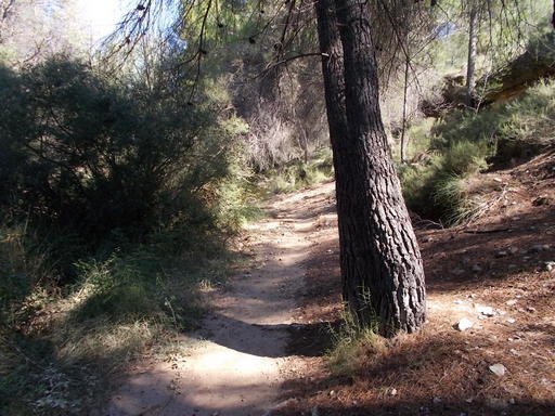 Sorry, image missing