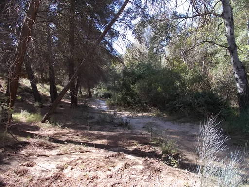 Sorry, image missing