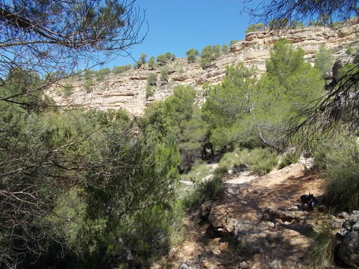 Sorry, image missing