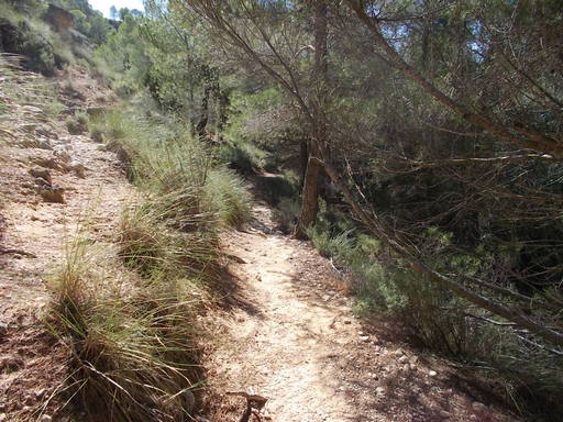 Sorry, image missing