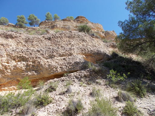 Sorry, image missing