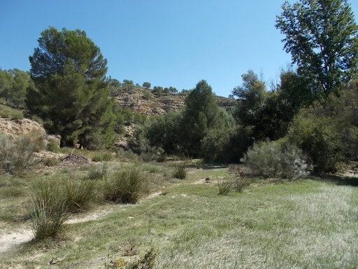 Sorry, image missing