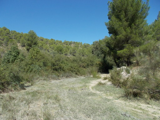 Sorry, image missing