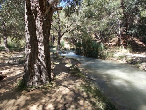 Sorry, image missing