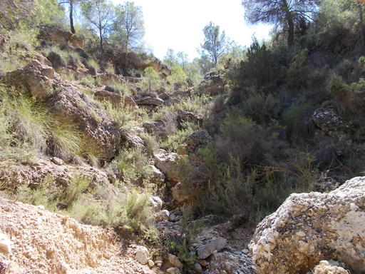 Sorry, image missing