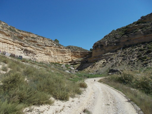 Sorry, image missing