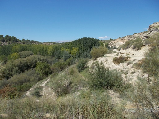 Sorry, image missing