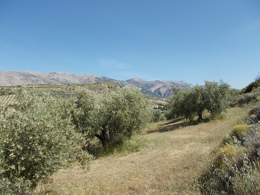 Sorry, image missing