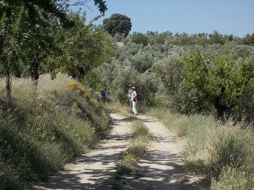 Sorry, image missing