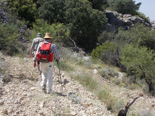 Sorry, image missing