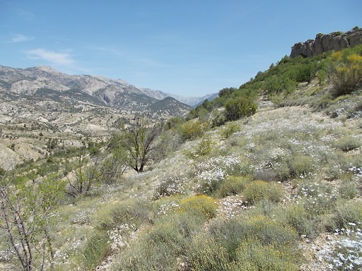 Sorry, image missing